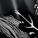Walltz | Three Stories Poetry of the Flower Basket | NWZ-3MHN