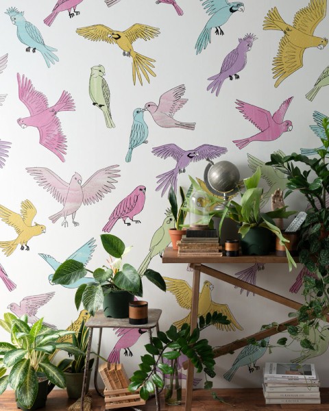 Walltz | Bird | NWZ-BIRD