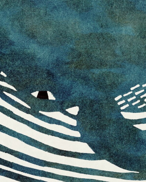 Walltz | Fin whale | NWZ-NGKR