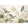 Sir Edward | Lovely Water Lilies