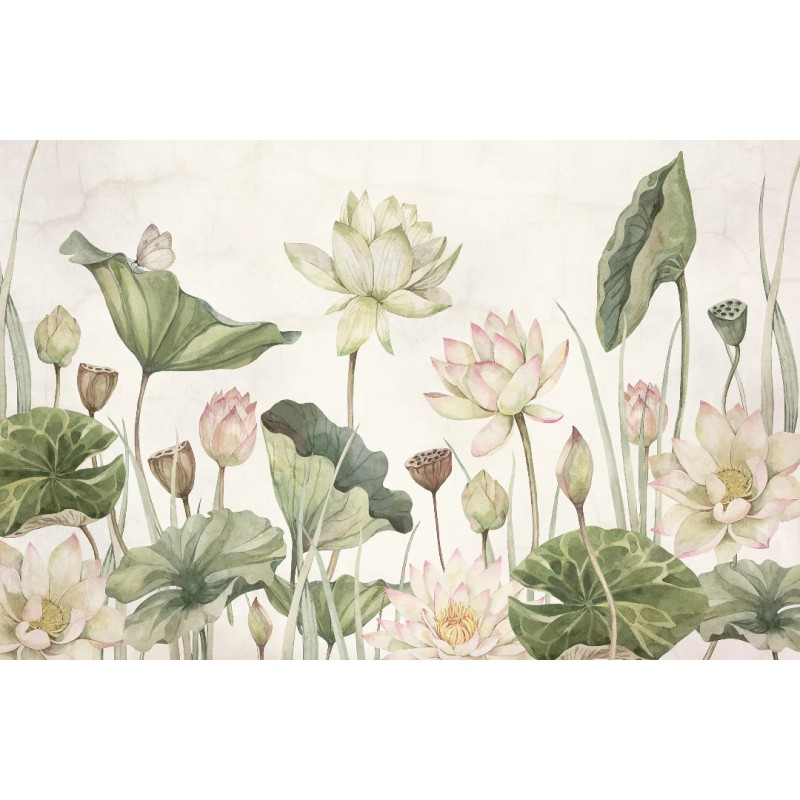 Sir Edward | Lovely Water Lilies