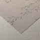Honpo WF | Ensō Zen