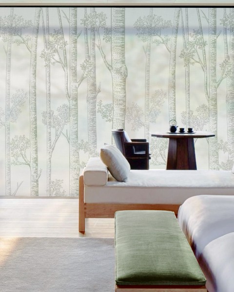 Honpo WF | Silver Birch Trees