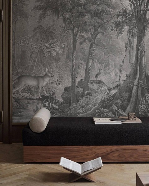 Wallcolors | Jungle Cat Wallpaper