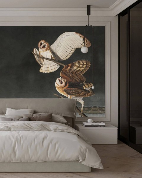 Wallcolors | Owls Wallpapers