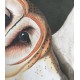 Wallcolors | Owls Wallpapers