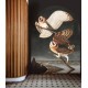 Wallcolors | Owls Wallpapers
