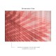 Affreschi & Affreschi | About You | AY 040