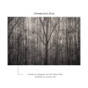 Affreschi & Affreschi | About You | AY 070