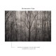 Affreschi & Affreschi | About You | AY 070