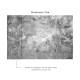 Affreschi & Affreschi | About You | AY 072
