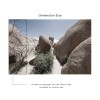Affreschi & Affreschi | About You | AY 014