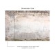 Affreschi & Affreschi | About You | AY 015