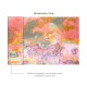 Affreschi & Affreschi | About You | AY 029