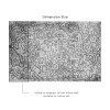 Affreschi & Affreschi | About You | AY 030