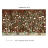 Affreschi & Affreschi | Eden | Printemps | ED - MC0304