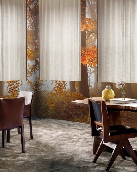 MARBURG | Autumn Forest