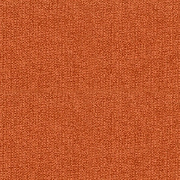 Toli / Pets Carpet / AK3522