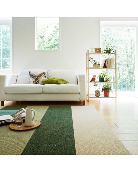 Toli / Pets Carpet / AK3526