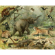 Animal Kingdom | LF018A