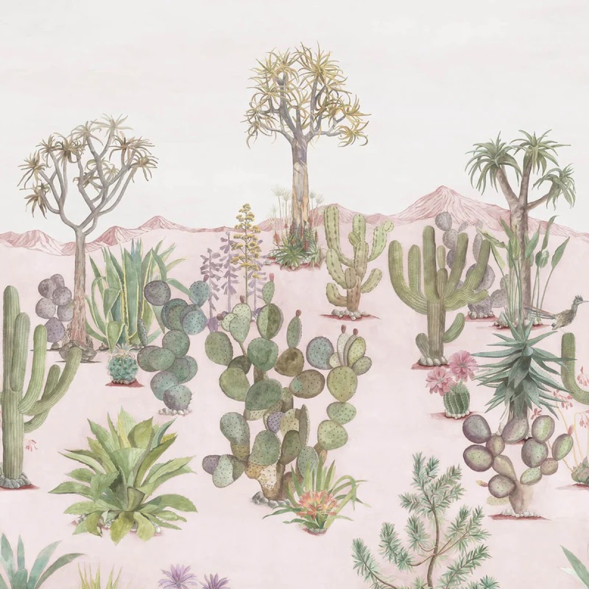 Classic Desert Pink Sand | Sian Zeng