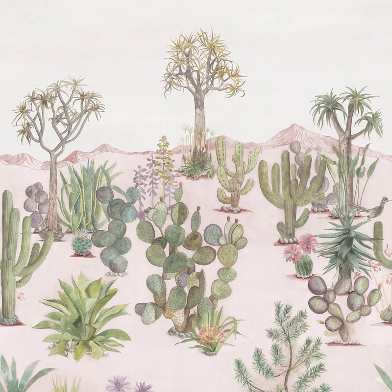 Classic Desert Pink Sand | Sian Zeng