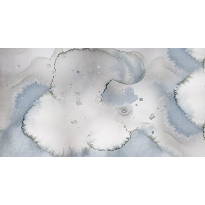 Clouds & Poppies | FE21501