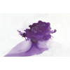 DREAMY | FE01000