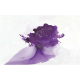 DREAMY | FE01000