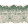 SWAN | FE06101