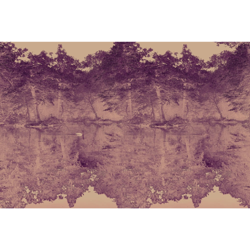 SWAN | FE06101