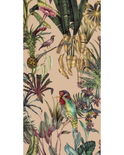 BIRDS BIRDS-CORAL
