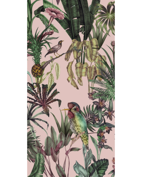 BIRDS BIRDS-PINK