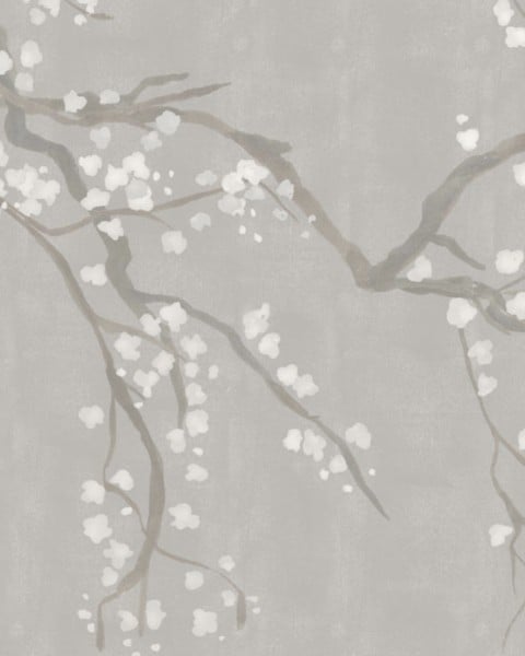 TAKEDA-SNOW
