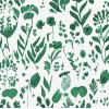 Feathr | Florabunda 