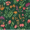Feathr | Florabunda 
