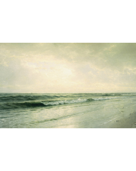 Feathr | Quiet Seascape | FE40101