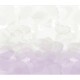 Honpo | Gradation | Flower Petals | HG-007