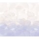 Honpo | Gradation | Flower Petals | HG-007
