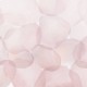 Honpo | Gradation | Abstract Circles, Pink