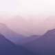 Honpo | Gradation | Mountain Range, Purple