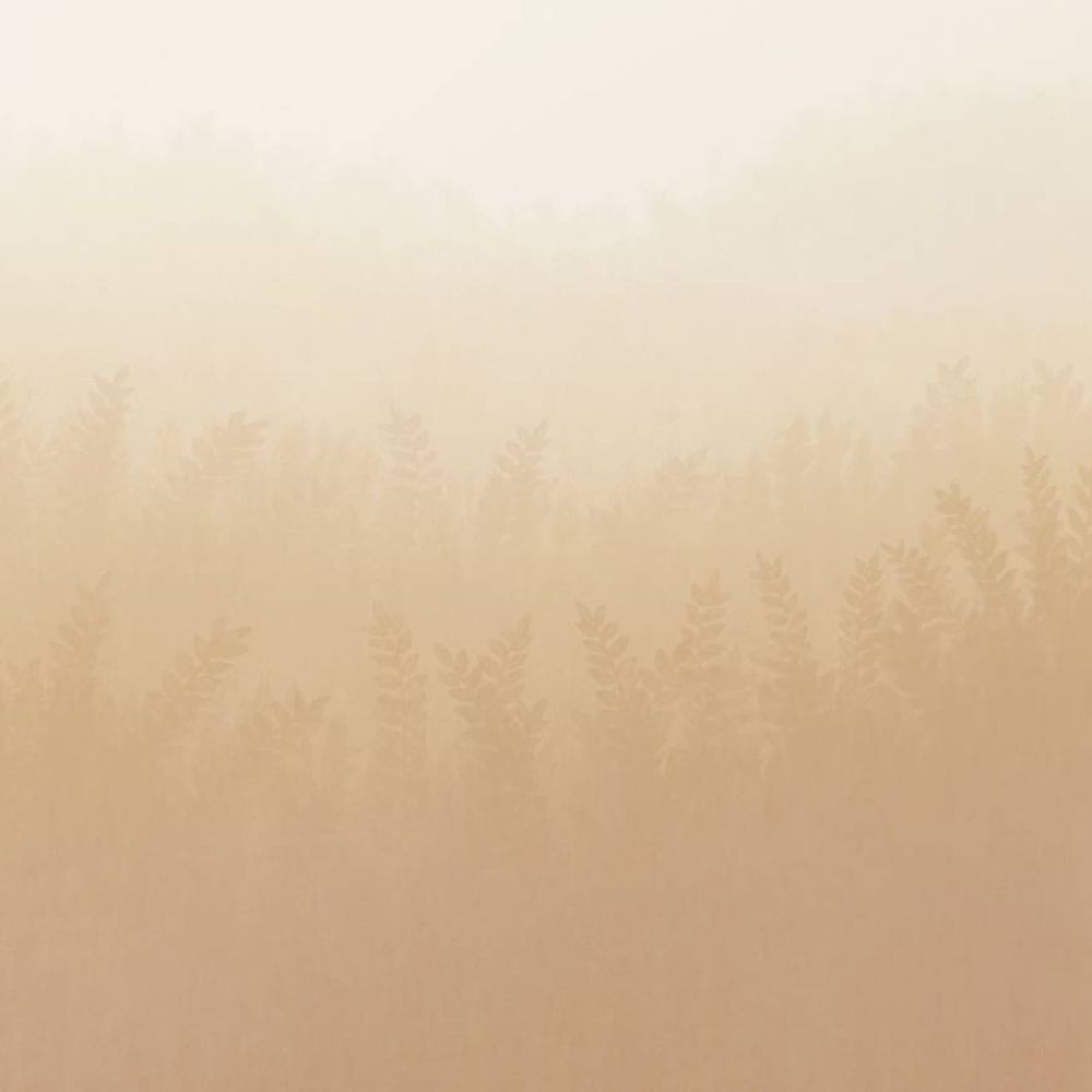 Honpo | Gradation | Wheat Field, Beige