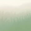 Honpo | Gradation | Wheat Field | HG-0023