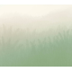 Honpo | Gradation | Wheat Field | HG-0023