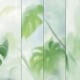 Honpo | Misted Monstera
