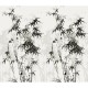 Honpo | Bamboo Forest | HO-0029