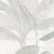 Honpo | Calm Tropical Forest | HO-001