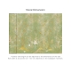 Honpo | Chinoiserie Enchantée