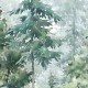 Honpo | Middle of The Forest | HO-0066
