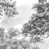 Honpo | Monotone Forest | HO-0068
